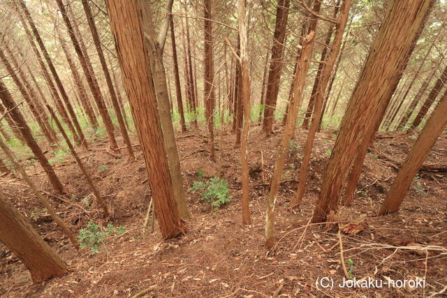 備中 飯ノ山城(上有漢)の写真