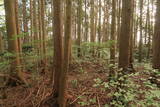 備中 飯ノ山城(上有漢)の写真