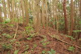 備中 飯ノ山城(上有漢)の写真