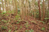 備中 飯ノ山城(上有漢)の写真