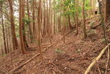 備中 飯ノ山城(上有漢)の写真