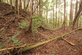 備中 飯ノ山城(上有漢)の写真