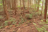 備中 飯ノ山城(上有漢)の写真