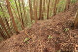 備中 飯ノ山城(上有漢)の写真