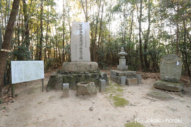 備中 冠山城の写真