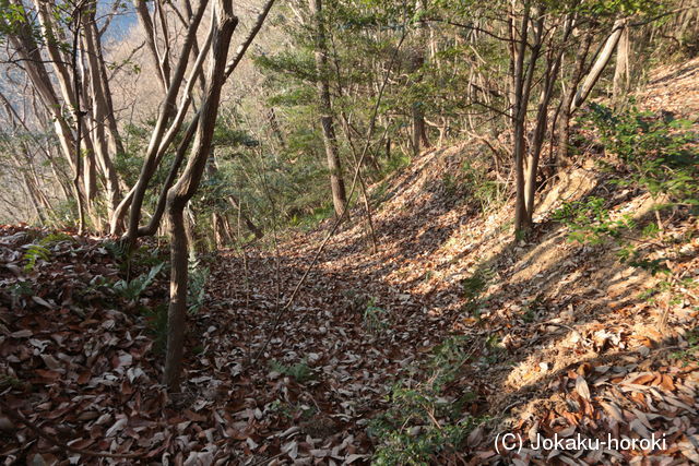 備中 小見山城(高屋町)の写真