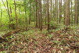 備中 越山城の写真