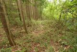 備中 越山城の写真