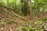 備中 越山城の写真