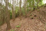 備中 越山城の写真