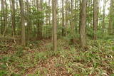 備中 越山城の写真