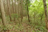備中 越山城の写真