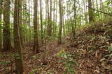 備中 越山城の写真