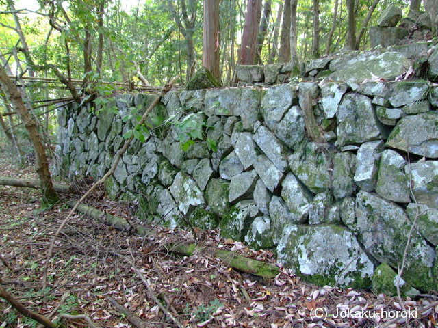 備中 野山城(古和田城)の写真