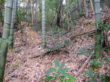 備中 野山城(古和田城)の写真