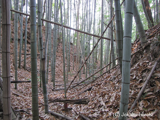 備中 小山城の写真