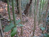 備中 小山城の写真