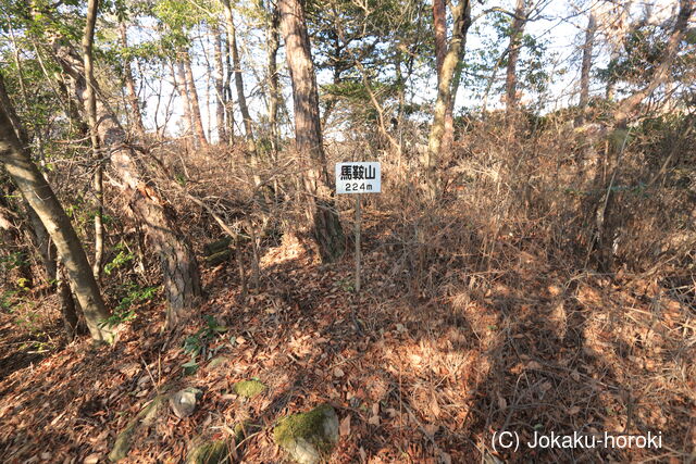 備中 馬鞍山城の写真