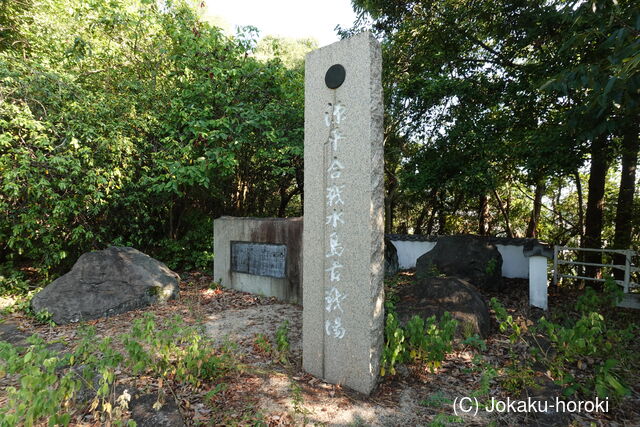 備中 森本松山城の写真