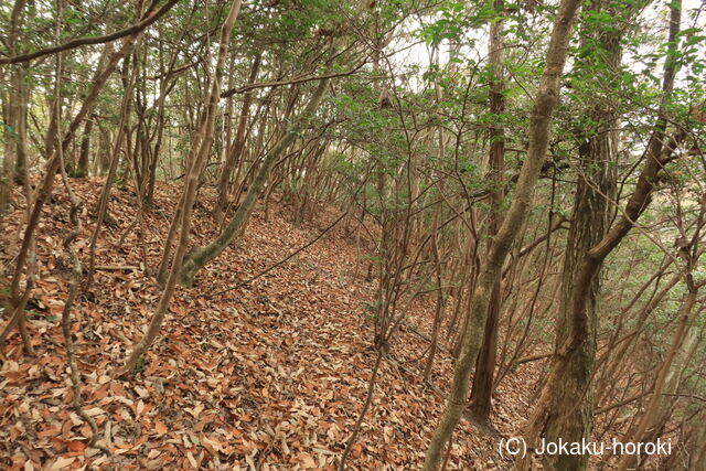 備中 中山城B(矢掛町)の写真