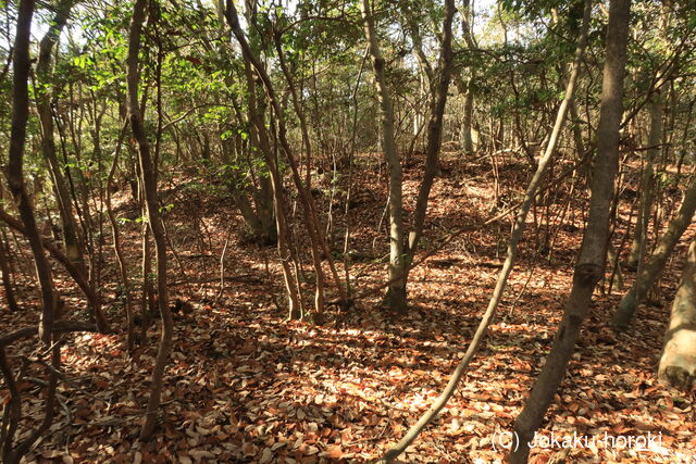 備中 中山城C(矢掛町)の写真