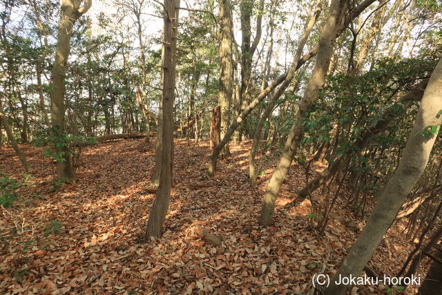 備中 中山城D(矢掛町)の写真