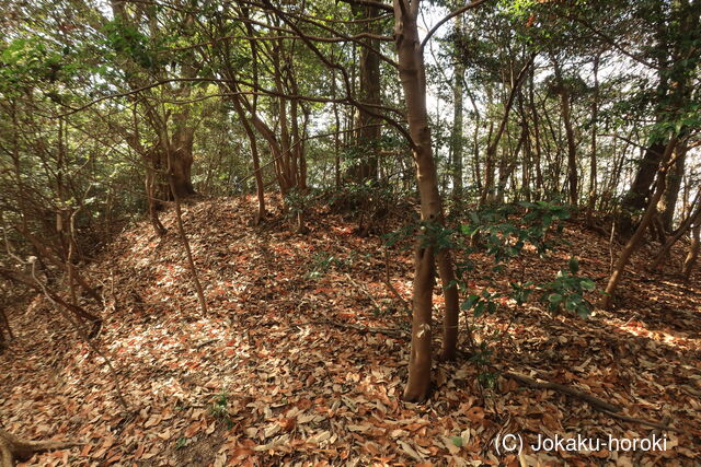 備中 中山城E(矢掛町)の写真