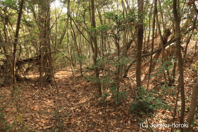 備中 中山城(矢掛町)の写真