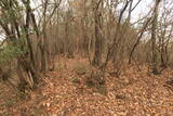 備中 中山城(矢掛町)の写真