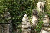 備中 小林山城の写真