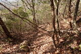 備中 小林山城の写真