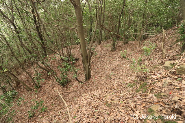 備中 茶臼山城(寄島町)の写真