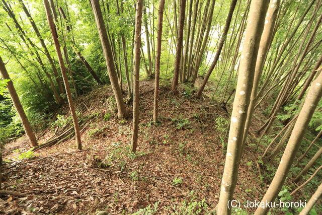 備中 土井砦(下中津井)の写真