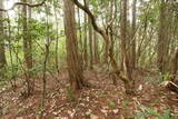 備中 諏訪山城(哲多町)の写真