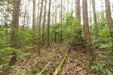 備中 諏訪山城(哲多町)の写真