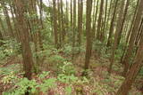 備中 諏訪山城(哲多町)の写真