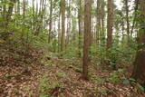 備中 諏訪山城(哲多町)の写真