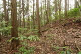 備中 諏訪山城(哲多町)の写真