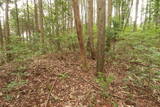 備中 諏訪山城(哲多町)の写真