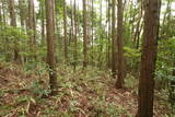 備中 諏訪山城(哲多町)の写真