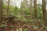 備中 諏訪山城(哲多町)の写真
