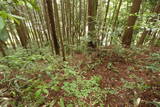 備中 諏訪山城(哲多町)の写真