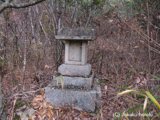 備中 鳥越山城の写真