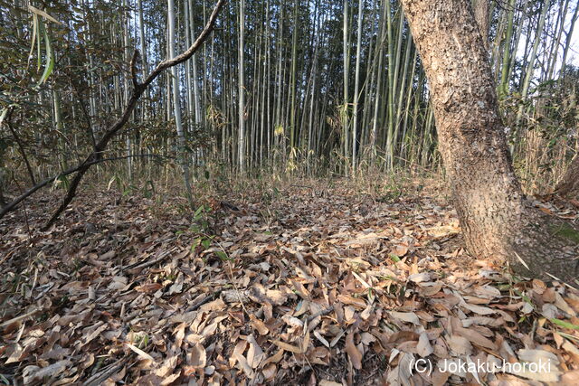 備中 植之町東陣の写真