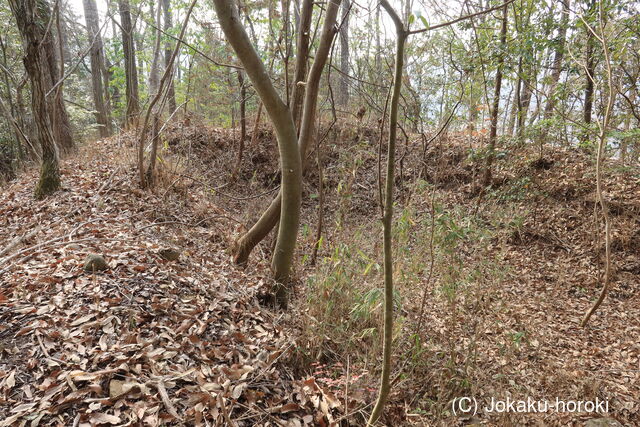 備中 要害山城(矢掛町)の写真