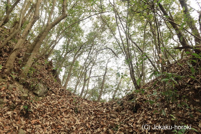 備中 山本城(総社市)の写真