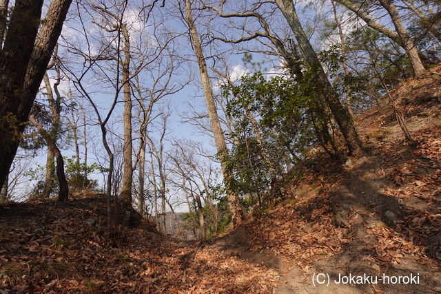 備後 青ケ城の写真