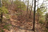 備後 青ケ城の写真