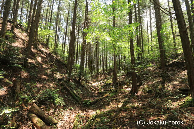 備後 青山城の写真