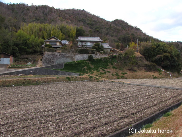 備後 中条土居館の写真